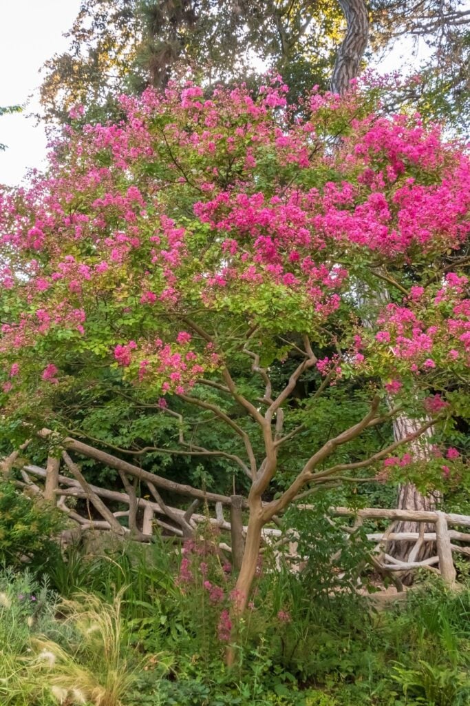 Parc Montsouris