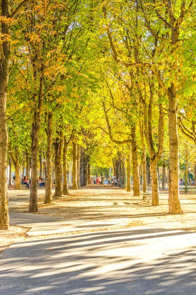 Jardins des Champs-Élysées