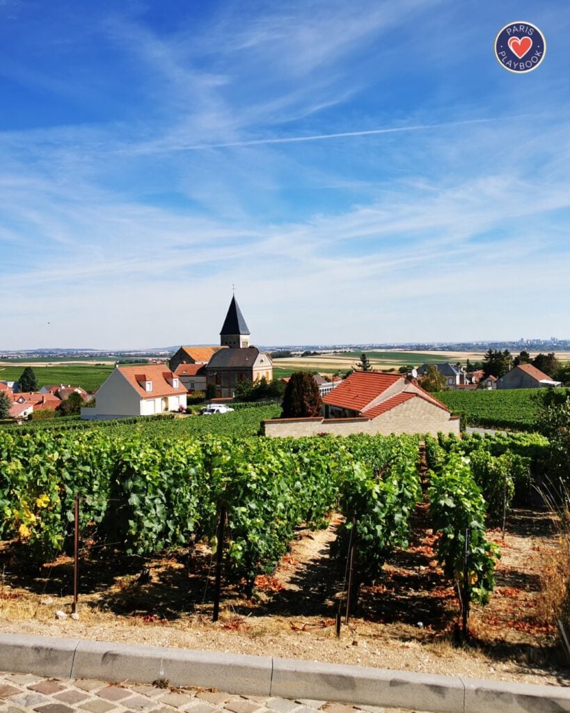 Champagne wine region in France