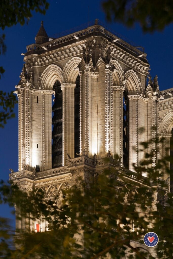 Notre Dame Cathedral's south tower illuminated at night with detailed Gothic architecture, flying buttresses, and ornate stonework against deep blue evening sky framed by tree branches