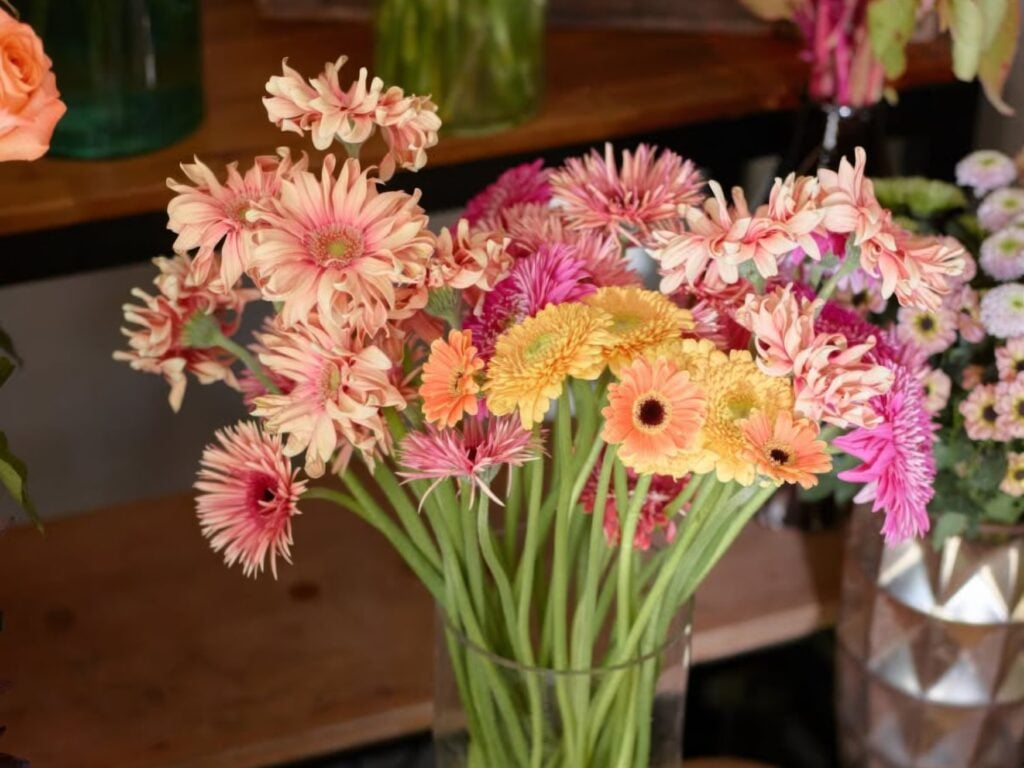 Sessile Fleurs in Paris